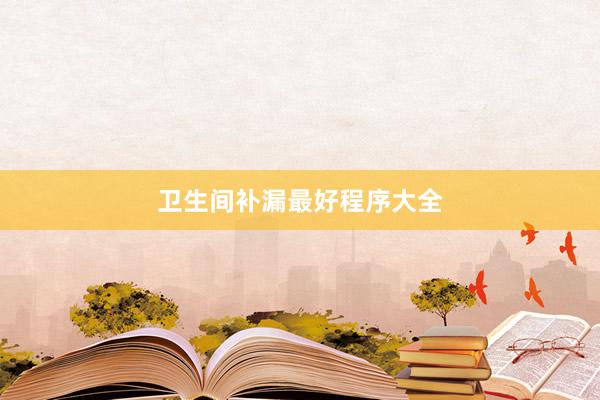 卫生间补漏最好程序大全