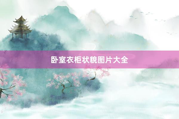 卧室衣柜状貌图片大全