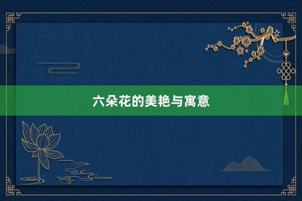 六朵花的美艳与寓意
