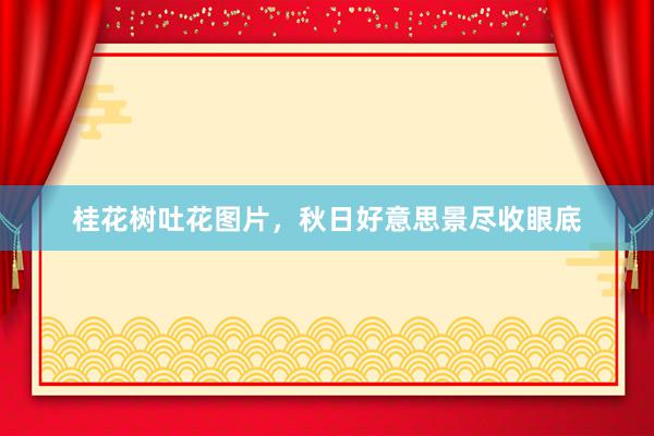 桂花树吐花图片，秋日好意思景尽收眼底